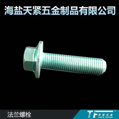 ZTF镀彩锌法兰螺丝 加大盘法兰螺栓 DIN6921