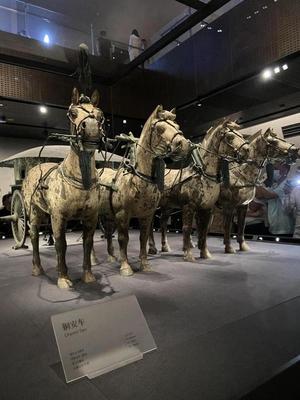 “5·18国际博物馆日”秦始皇帝陵铜车马博物馆试开放