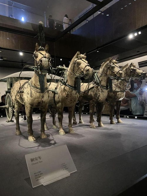 5 18国际博物馆日 秦始皇帝陵铜车马博物馆试开放